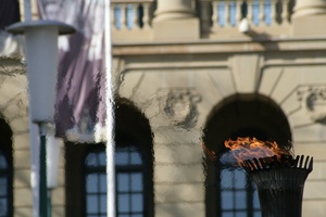 Legislature Flame